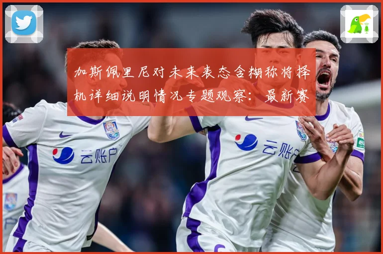 加斯佩里尼对未来表态含糊称将择机详细说明情况专题观察：最新赛事动态与深度分析
